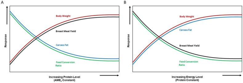 Fig. 10