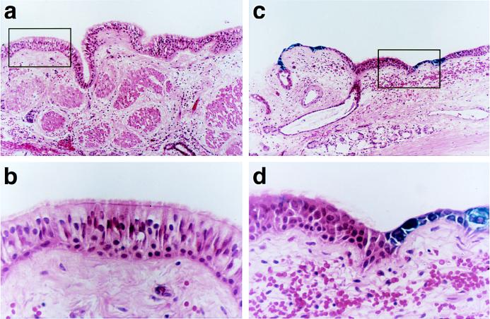 FIG. 10