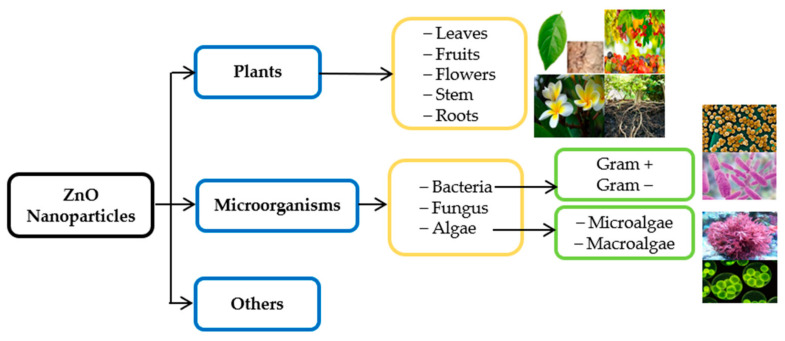 Figure 12