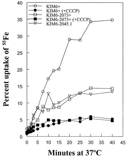 FIG. 2.