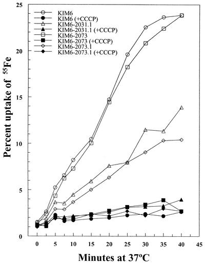 FIG. 4.