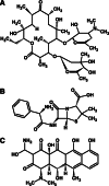 Fig. 14.