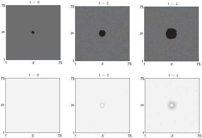 Figure 13