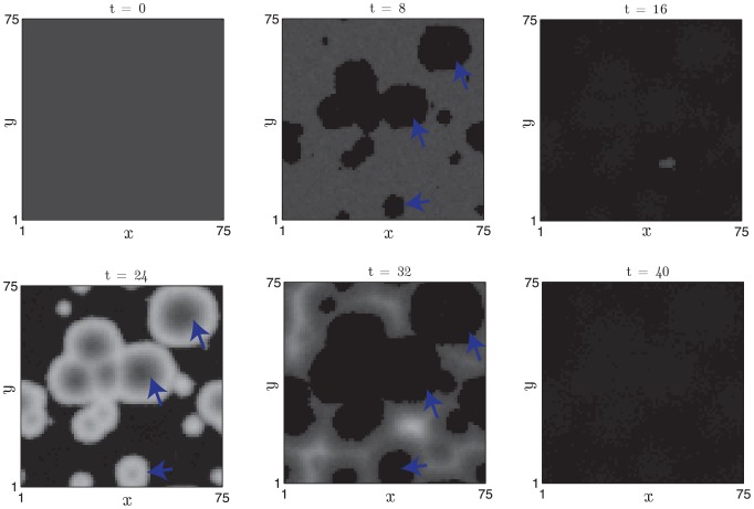 Figure 15