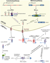 Fig. 18.1