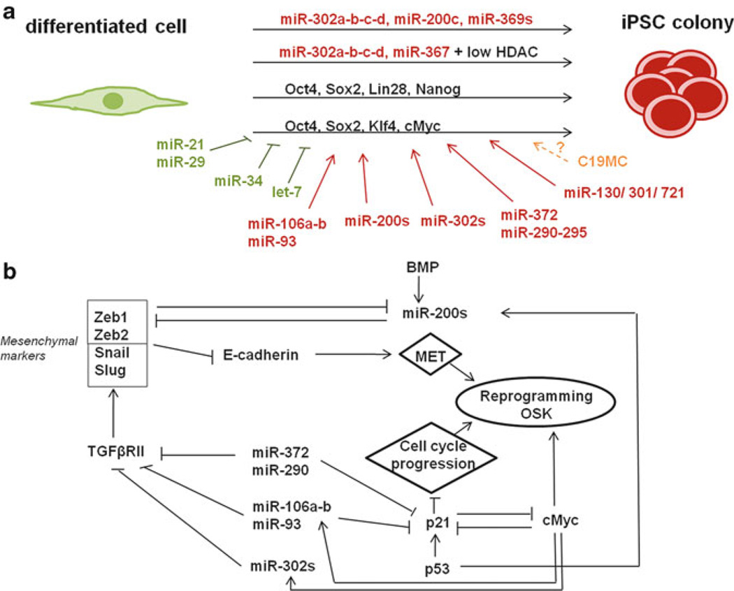 Fig. 18.3