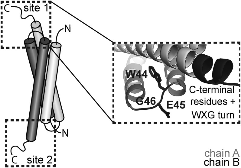 Fig. 7.