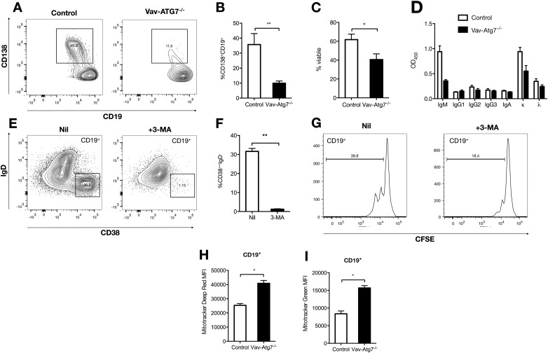 Figure 5