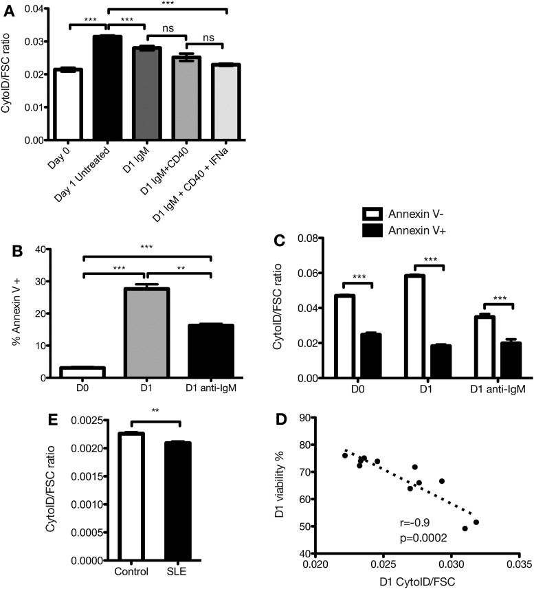 Figure 6