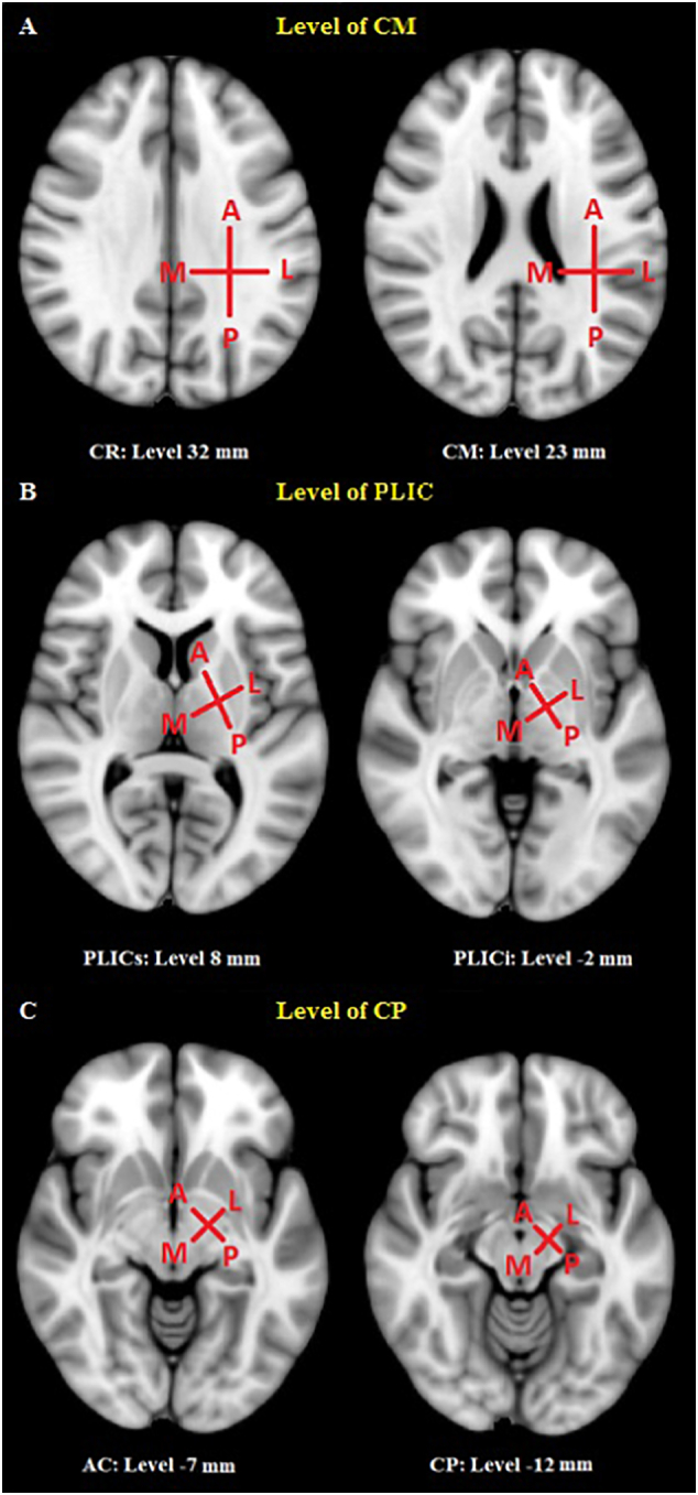 Fig. 2