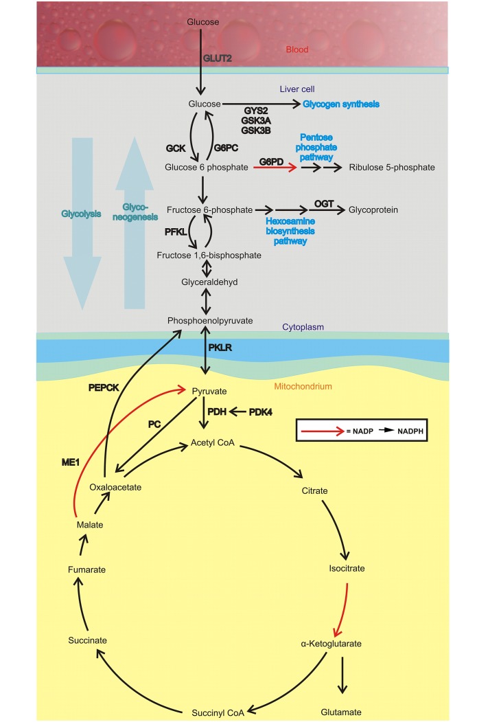 Fig 1