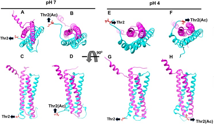 Figure 7.