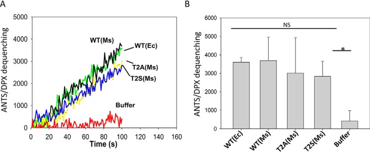 Figure 4.