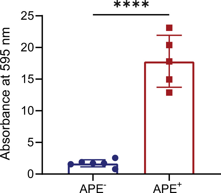 Fig. 6