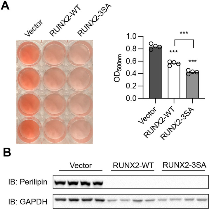 Figure 4—figure supplement 2.