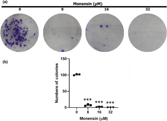 FIGURE 2