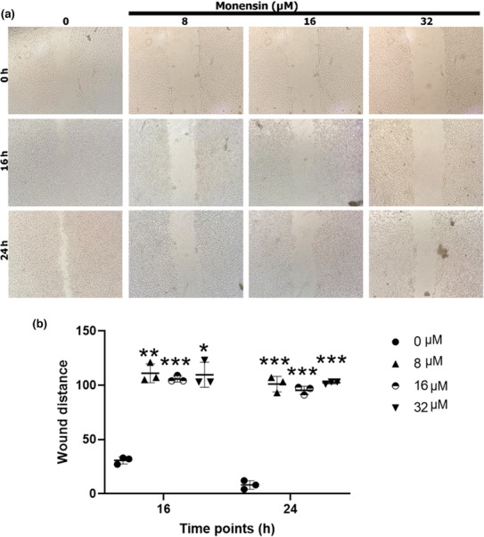 FIGURE 4