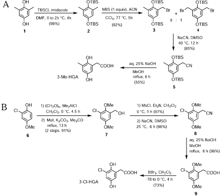 Scheme 2