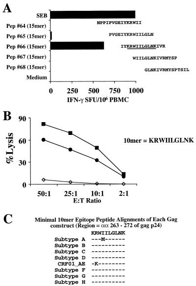 FIG. 7.