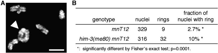 Figure 5.—