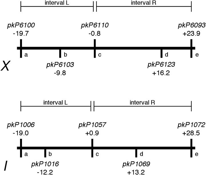 Figure 4.—