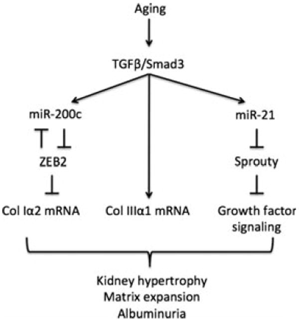 Fig 7