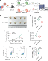 Figure 6. Blockade of TIGIT inhibits tumor growth in syngeneic mice. A, Workflow showing the experimental process of the animal study. B, C57BL/6 mice were subcutaneously injected with ID8 cells (5 × 106 per mouse) and treated with 200 μg anti-TIGIT or isotype-matched control antibody via intraperitoneal injection as indicated. Tumor growth curves (C), tumor volume (D), and tumor weight (E) at the endpoint were measured. *, P < 0.05; **, P < 0.01; ***, P < 0.001. F and G, Frequency of TIGIT+-CD8+ T cells from tumors in anti-TIGIT or isotype-matched control antibody treated mice by flow cytometry. Data are mean ± SD (n = 4 mice/group). ***, P < 0.001.