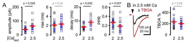 Figure 2—figure supplement 2.