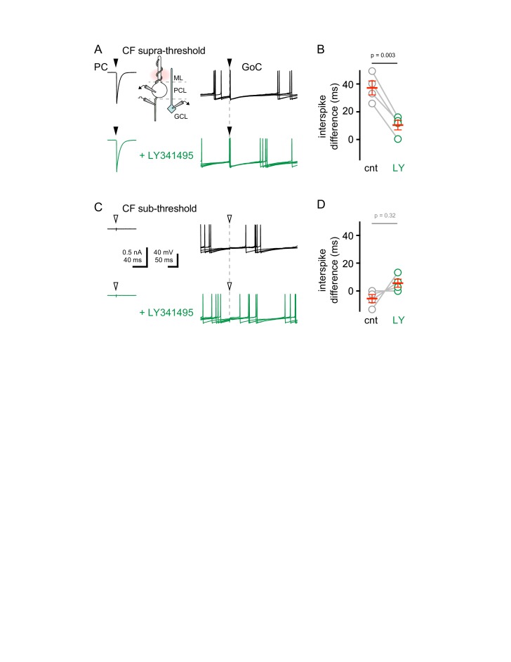 Figure 6—figure supplement 1.