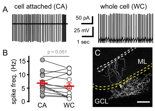 Figure 1—figure supplement 1.