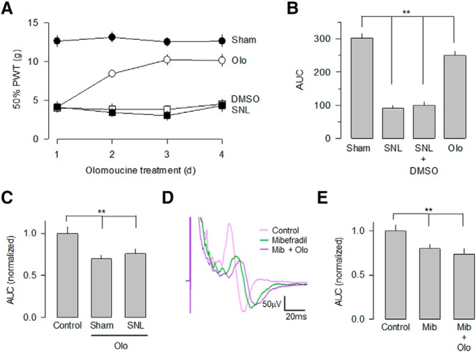 Figure 10.