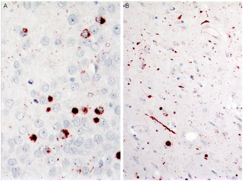 Fig. 8