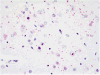 Fig. 18