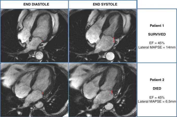 Figure 1: