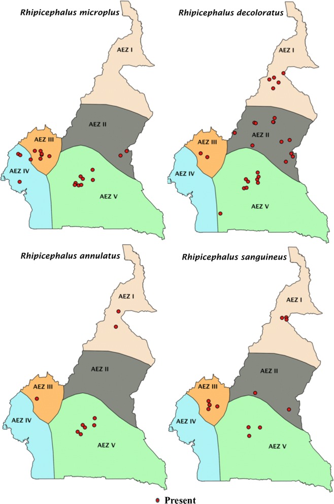 Fig. 4