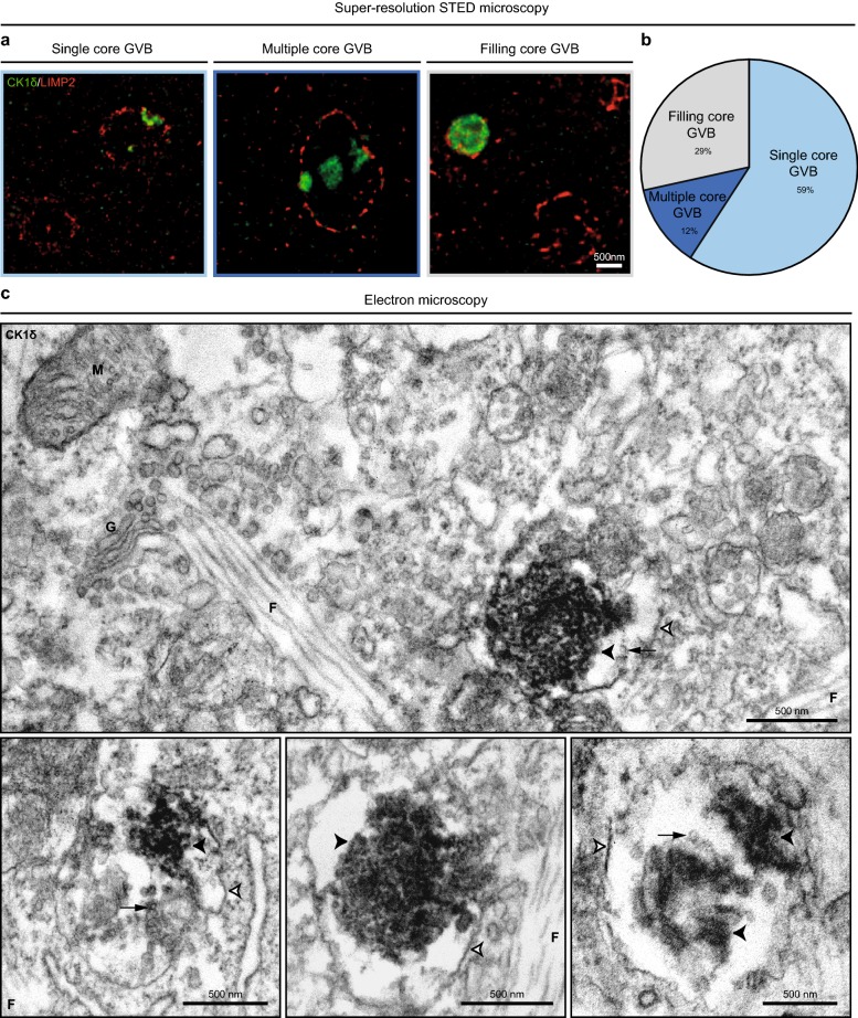 Fig. 7