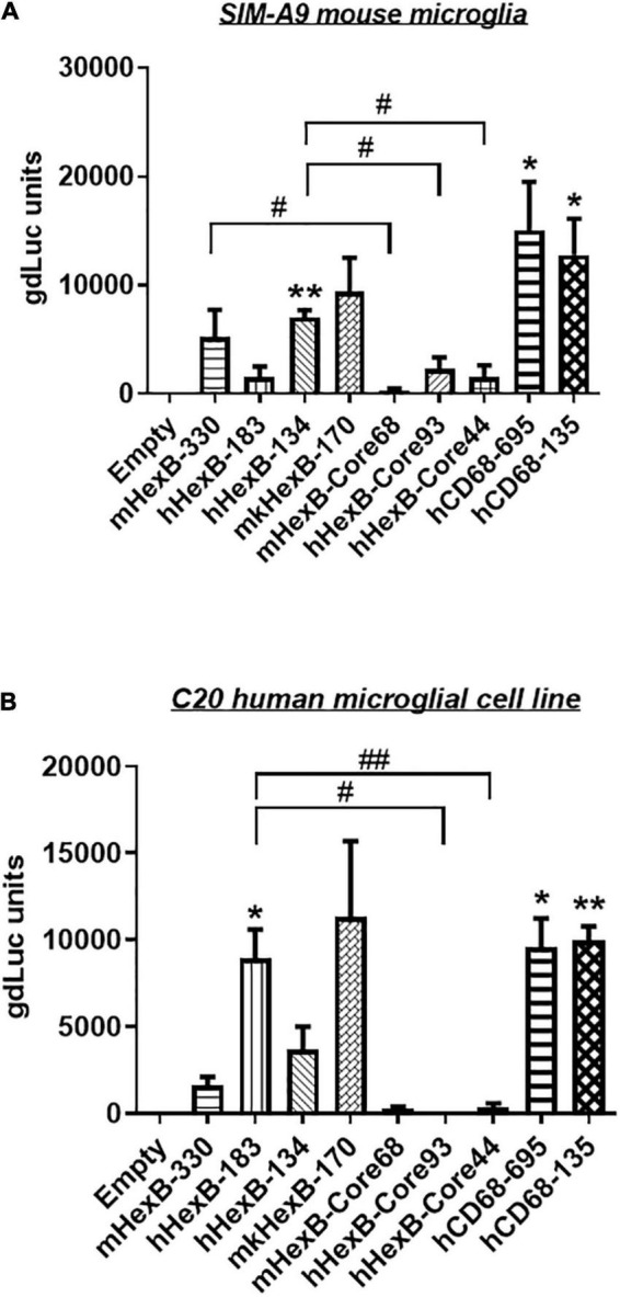 FIGURE 3