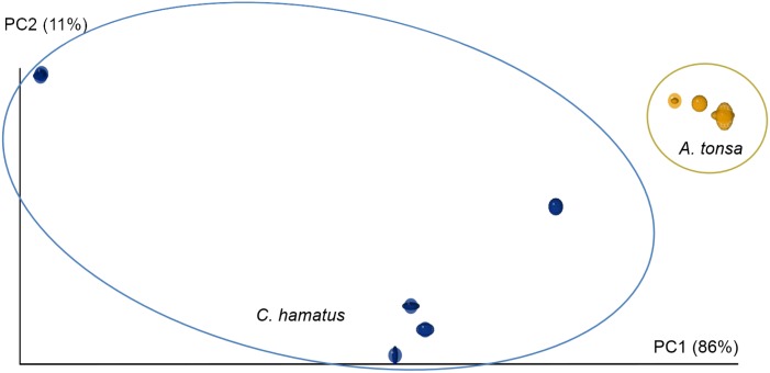 Fig 5