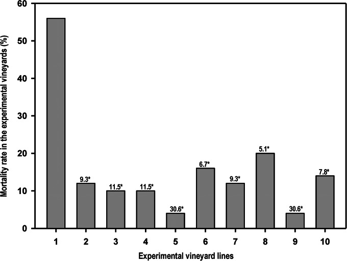 FIG 5