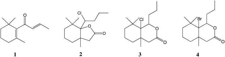 Fig. 1