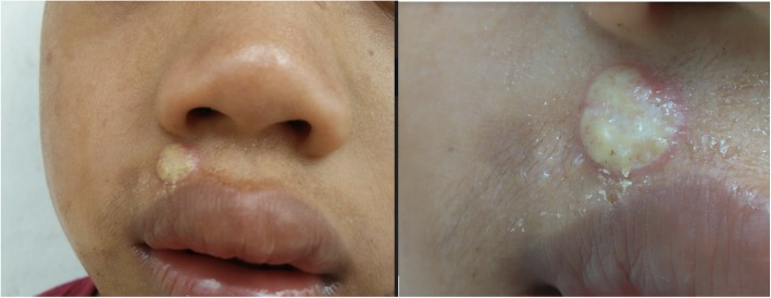 Fig. 7