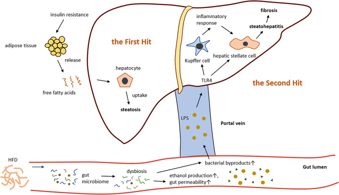 Fig. 2