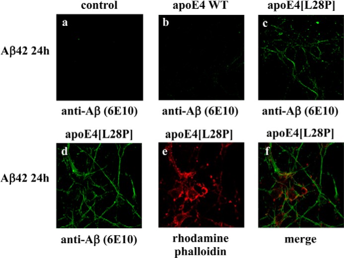 FIGURE 10.