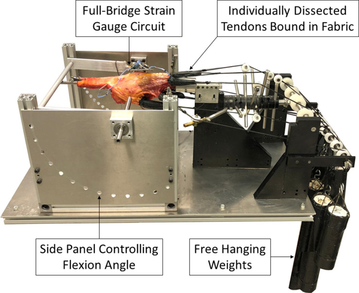 Fig. 1