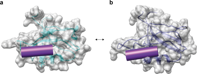 Fig. 4