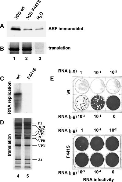 FIG. 8.