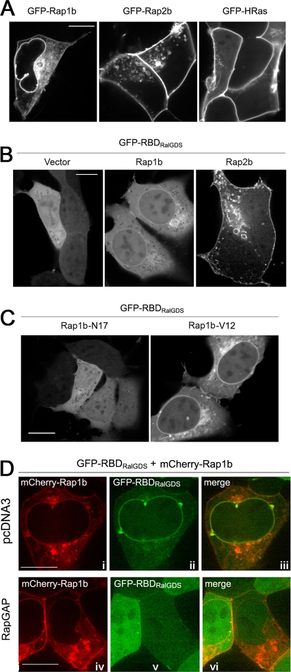 FIG. 7.