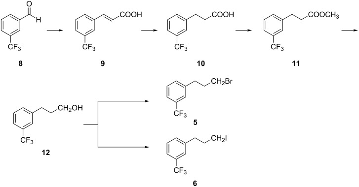 Scheme 2