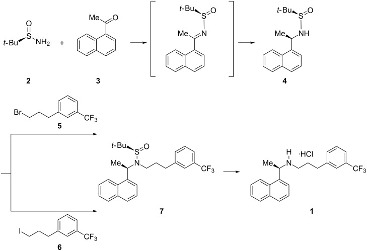 Scheme 1