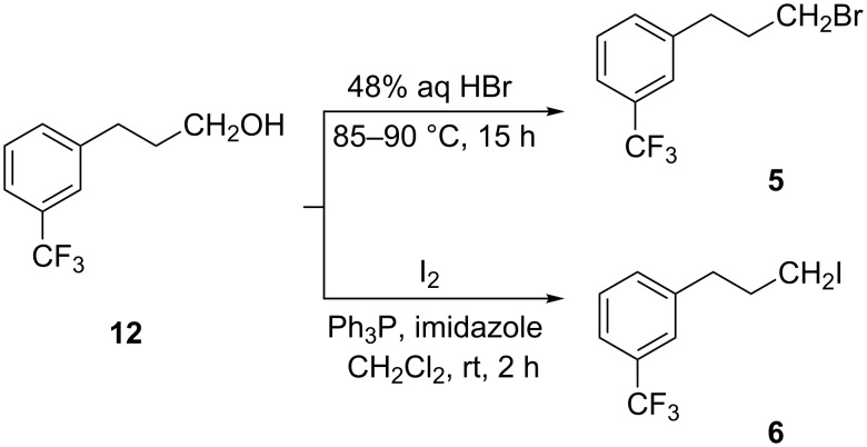 Scheme 6